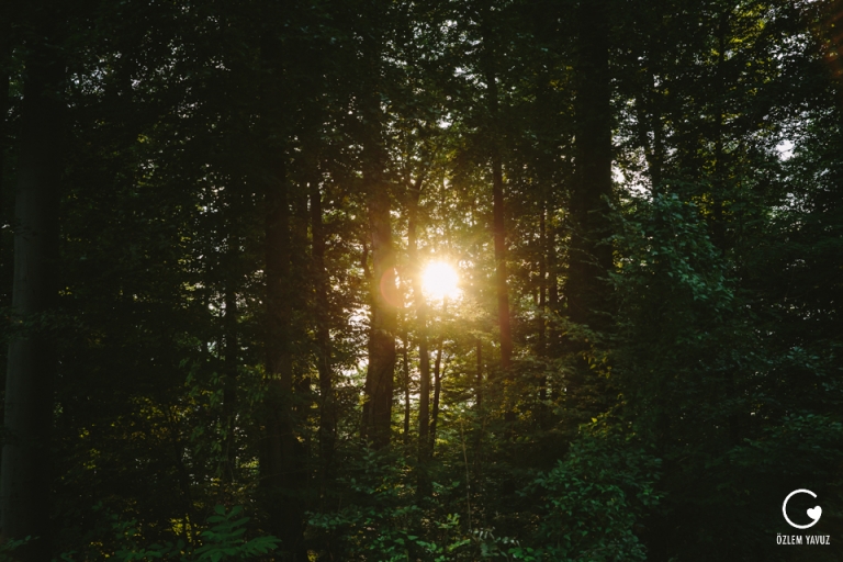 Hochzeit Kloster Schmiede Ozlem Yavuz