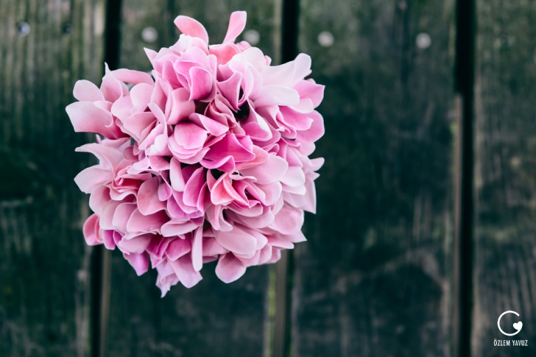 Hochzeit Hofgut Maisenburg by OzlemYavuz