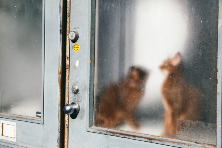 New York by Ozlem Yavuz