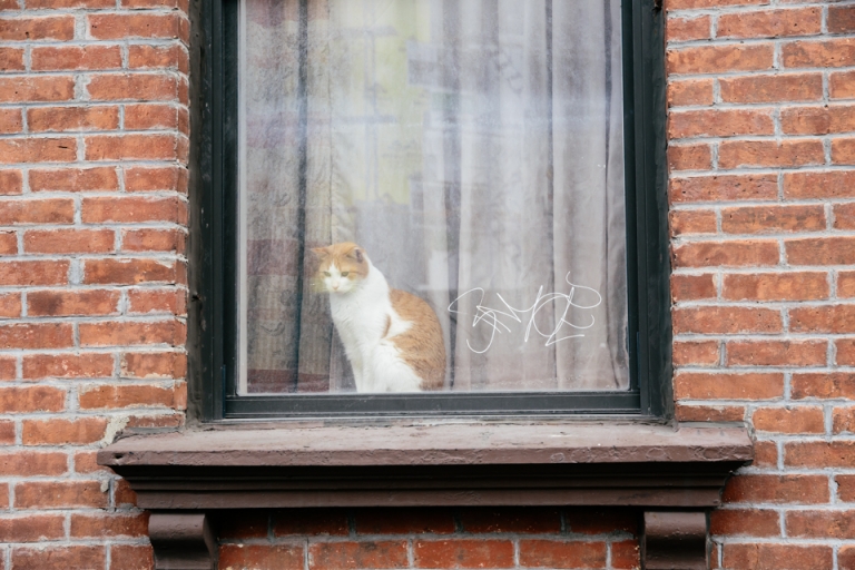 New York by Ozlem Yavuz