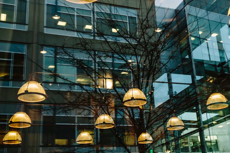 Seattle by Ozlem Yavuz