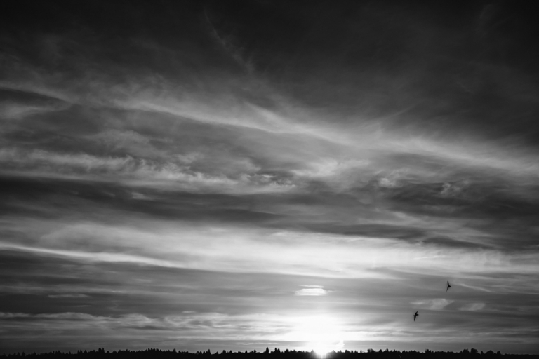 Seattle by Ozlem Yavuz