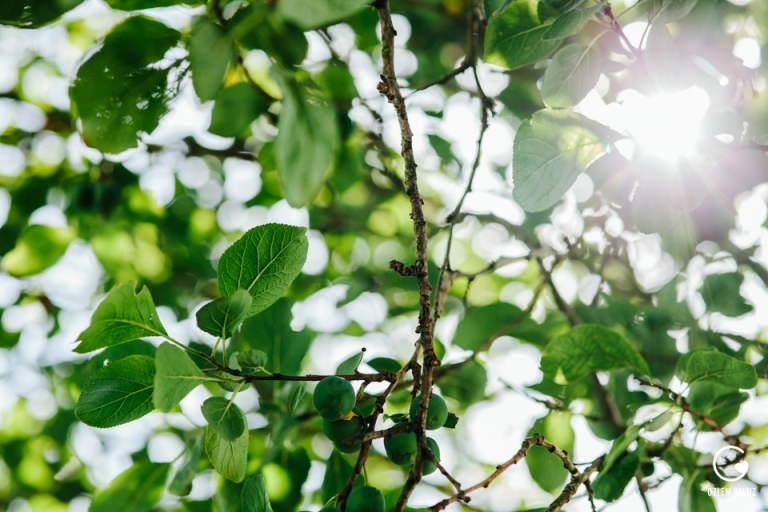 Wagenhallen, Hochzeit, Stuttgart, Ozlem Yavuz