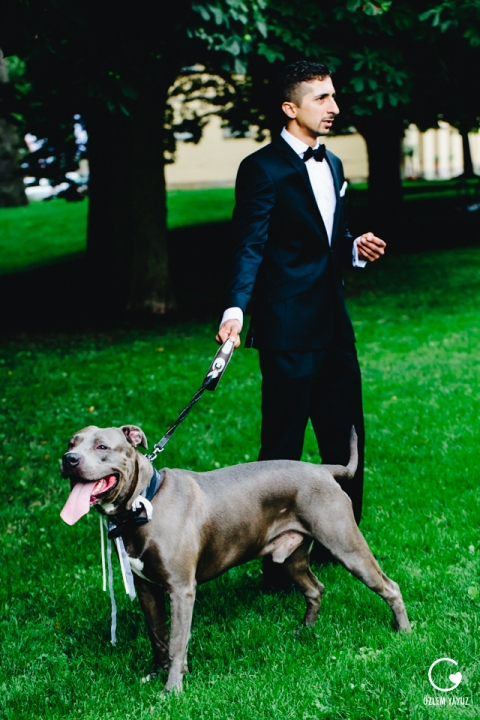 Schloss Monrepos, Hochzeit